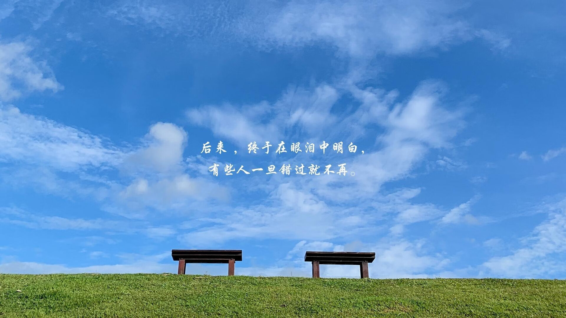 橙衣军团的孤注一掷,当贝林厄姆的左脚改写了2026世界杯C组的命运
